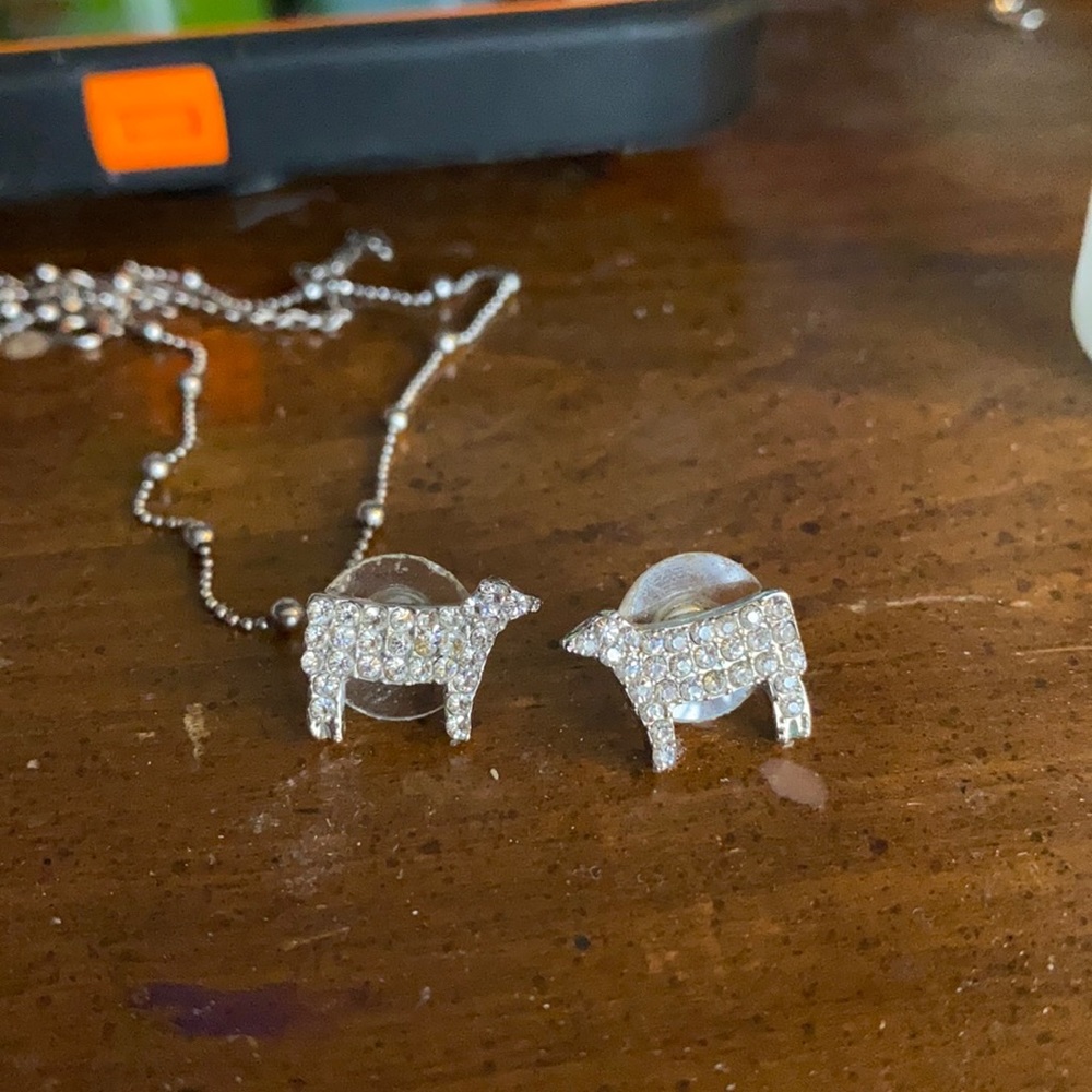 Earrings